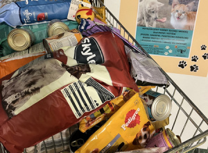Akcja charytatywna „Dzieciaki wspierają zwierzaki”